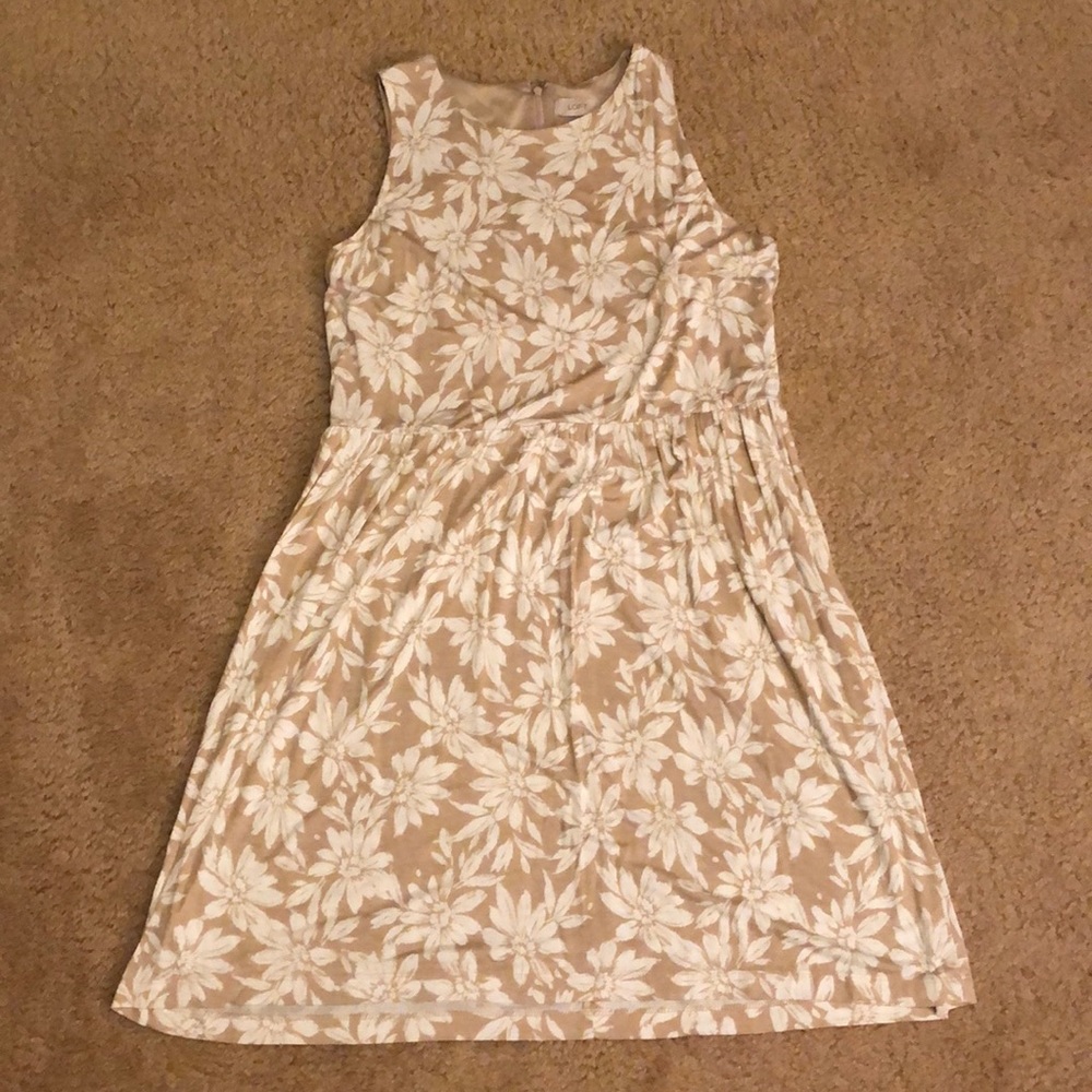 LOFT floral dress